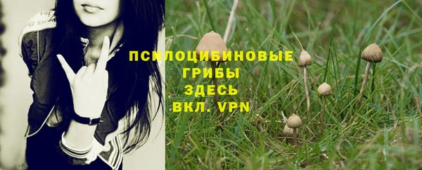 прущие крисы Краснотурьинск