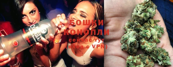 сатива Кулебаки