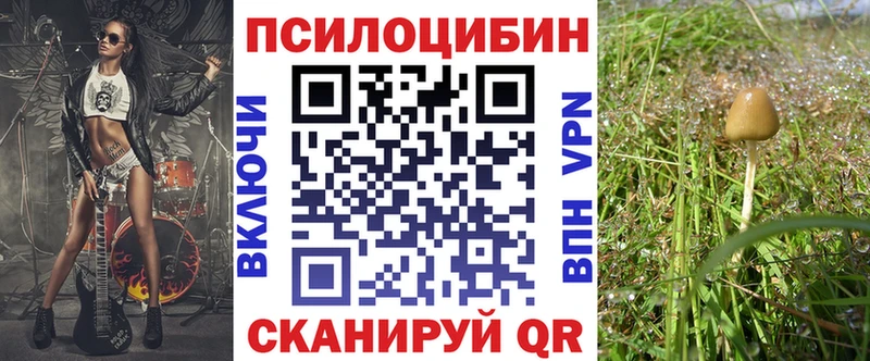 Купить  Инза  Псилоцибиновые грибы Psilocybine cubensis 